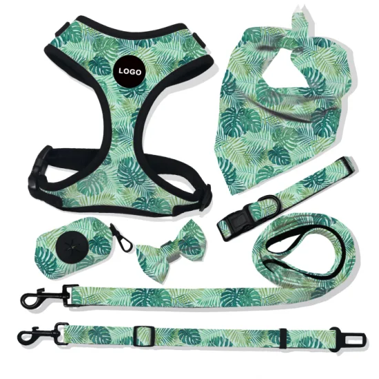 Hot Sale Eco-Friendly Pet Products 2021 Fashion Sublimation Dog Harness Personalized Custom Pattern Dog Supplies